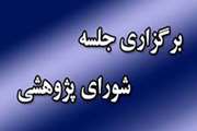 برگزاری نشست شورای پژوهشی مرکز تحقیقات علوم دارویی با محوریت تدوین نقشه راه توسعه طرح‌های کلان فناوری و سلامت